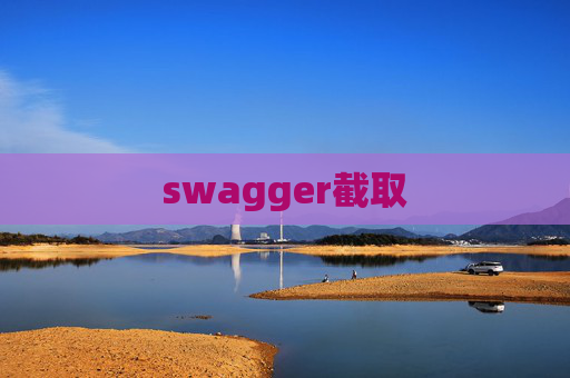 swagger截取